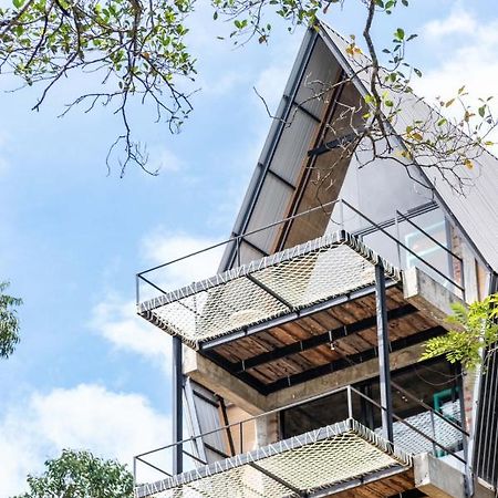 Wild Bee Hostel 엘라 외부 사진