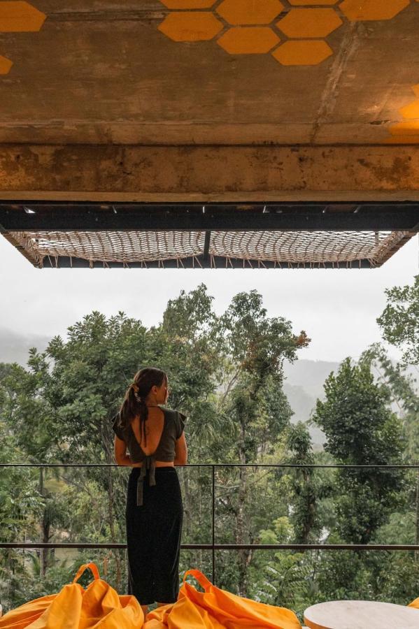 Wild Bee Hostel 엘라 외부 사진