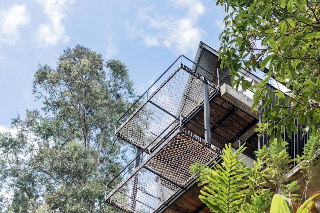 Wild Bee Hostel 엘라 외부 사진