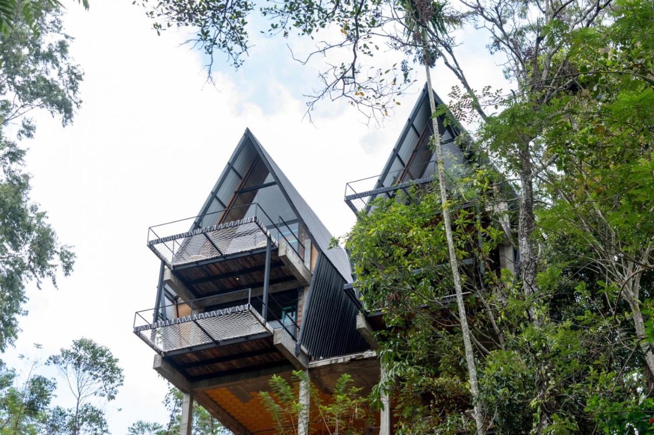 Wild Bee Hostel 엘라 외부 사진