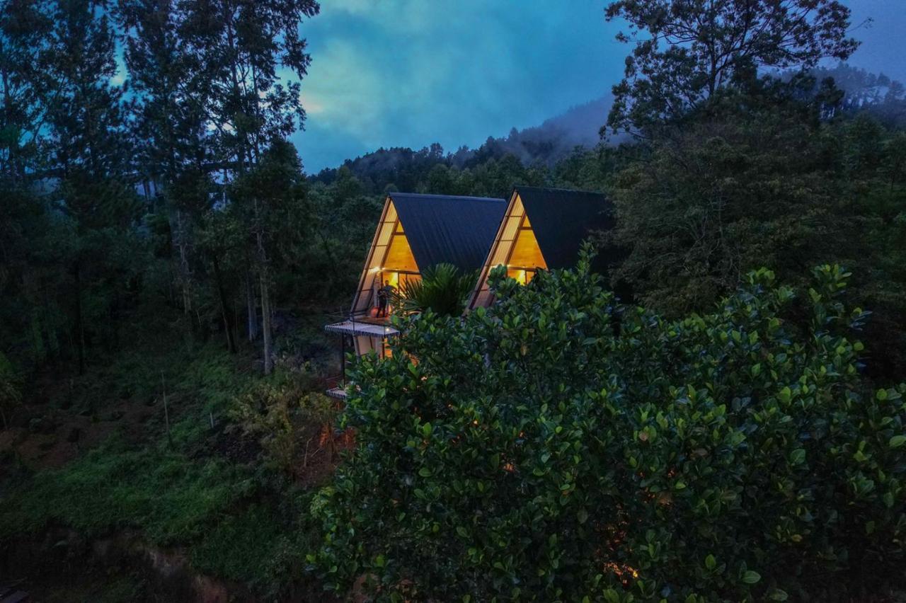 Wild Bee Hostel 엘라 외부 사진