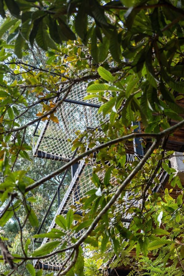 Wild Bee Hostel 엘라 외부 사진