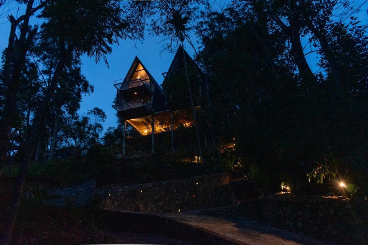 Wild Bee Hostel 엘라 외부 사진