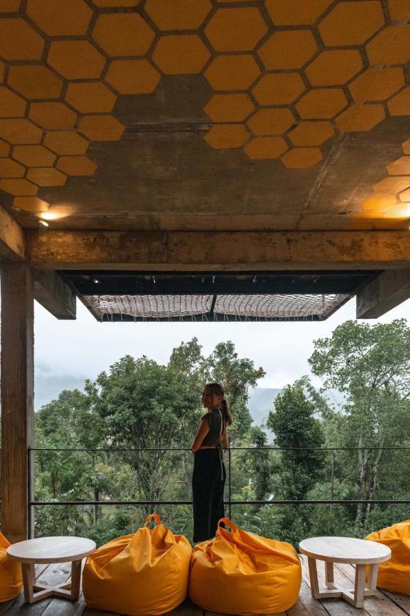 Wild Bee Hostel 엘라 외부 사진